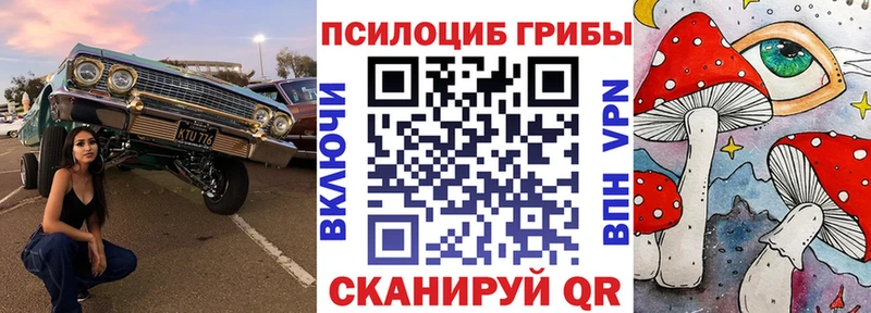 Псилоцибиновые грибы MAGIC MUSHROOMS  Нытва 